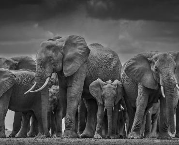 Gap year in africa